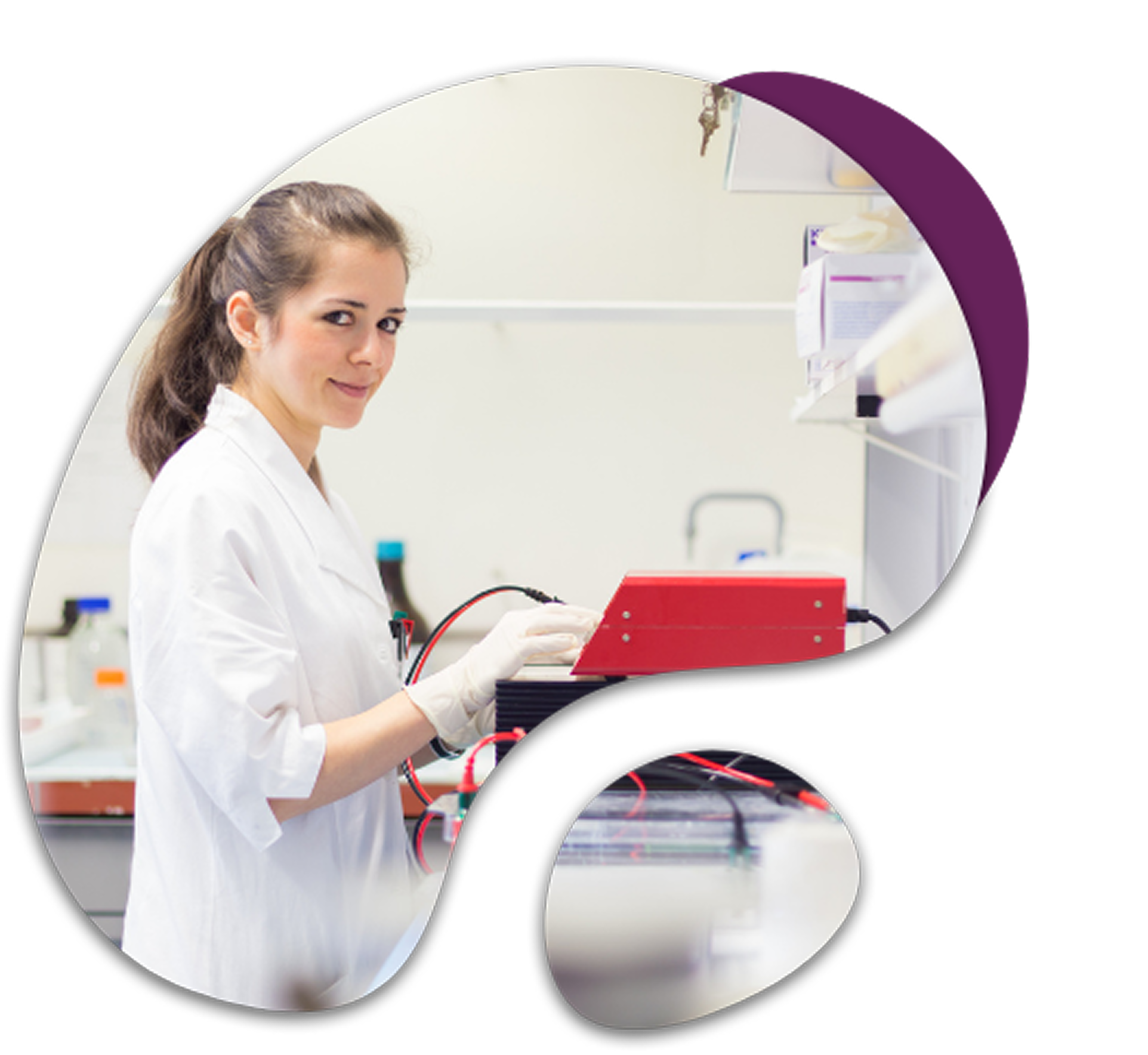 Healthcare & Life Sciences